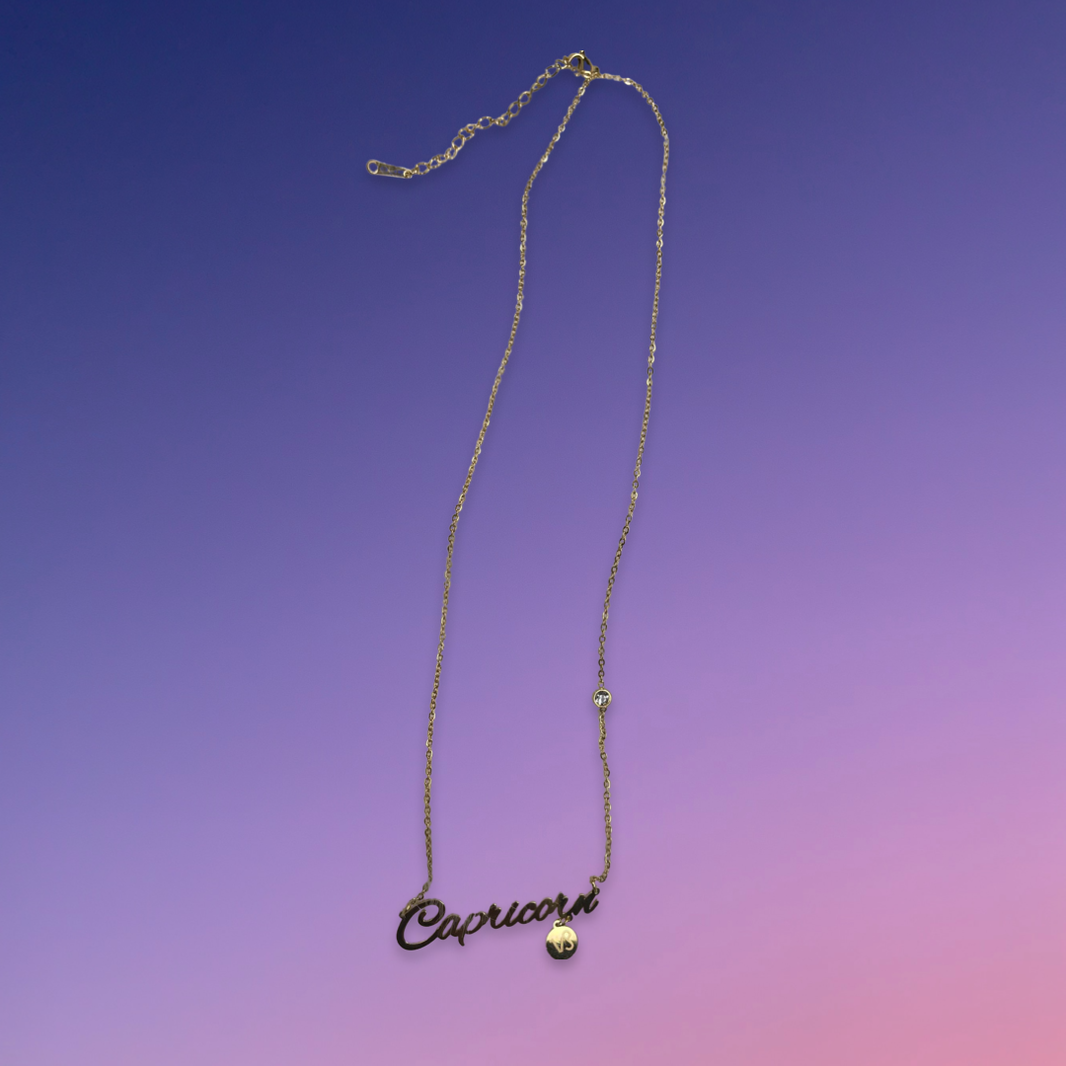 Capricorn Zodiac Necklace